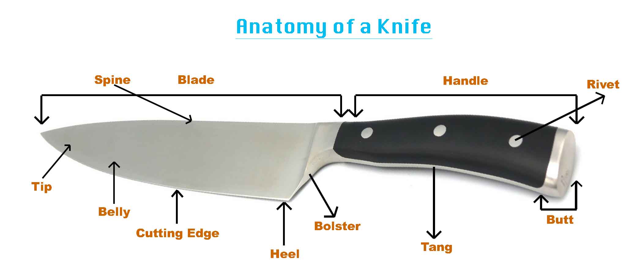 What Are the Parts of a Knife? Know Your Knife Anatomy