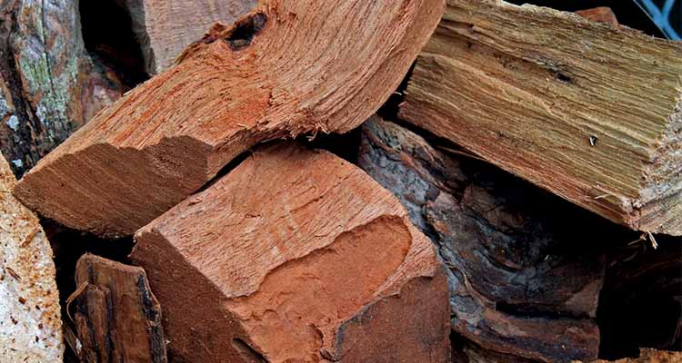 Everything you need to Know about Smoking Wood